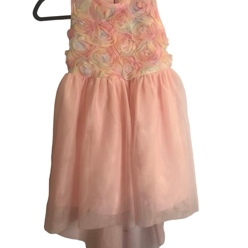 Cat & Jack Pink Tulle Dress with Flowers - Picture 1 of 4